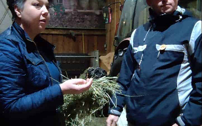 B2P020 Olga & Markus Voglauer (Biohof Kumer | Bio-kmetija pri Kumru) – Logische Landwirtschaft mit Jersey-Kühen und Direktvermarktung
