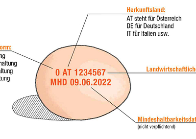 Bedeutung Kennzeichnungen direkt am Ei