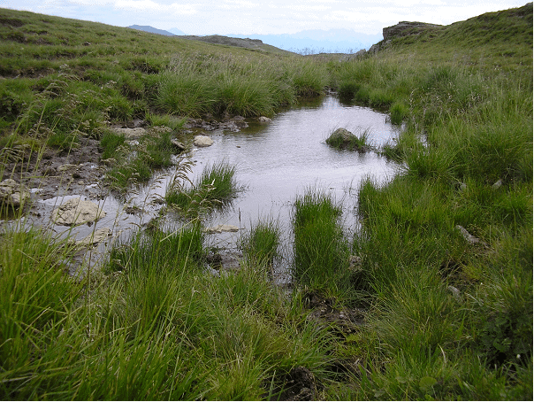 Foto - Biodiversität und Mensch im Alpenraum